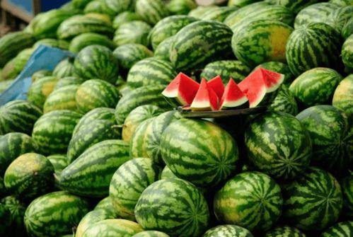 2024大瓜事件 寿光网红大瓜,揭秘2024年度网络热点事件